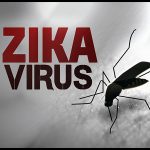 Ini Lho Beda Virus Zika Dengan Demam Berdarah Dengue