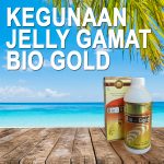 Kegunaan Obat Jelly Gamat Bio Gold