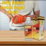 Jelly Gamat Bio Gold Untuk Gagal Ginjal