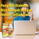 Penyakit Diabetes Di Cegah Dengan Jelly Gamat