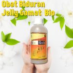 Obat Biduran Jelly Gamat Bio Gold