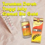 Turunkan Darah Tinggi Jelly Gamat Bio Gold