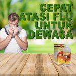 Cara Cepat Atasi Flu Untuk Dewasa Jelly Gamat