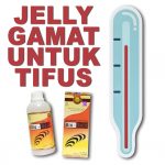Obat Ampuh Sembuh Penyakit Typhus dengan Jelly Gamat