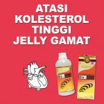 Solusi Cerdas Atasi Kolesterol Tinggi Jelly Gamat Bio Gold