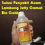 Solusi Penyakit Asam Lambung Jelly Gamat Bio Gold