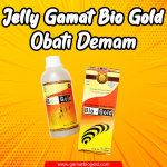 Cara Mengobati Demam Dengan Jelly Gamat Bio Gold