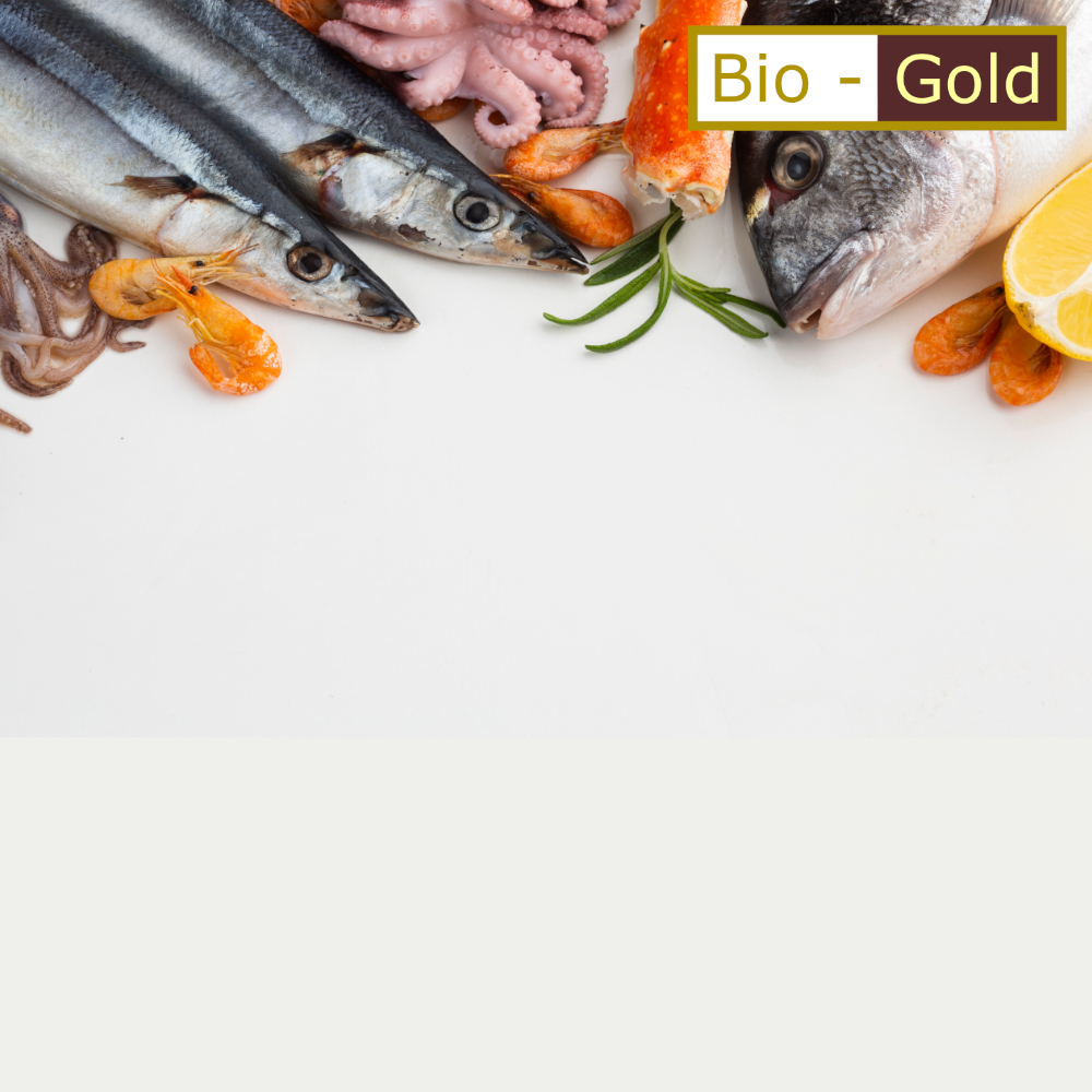 Cara Menjaga Kesehatan Otak - Konsumsi Ikan - gamatbiogold.com