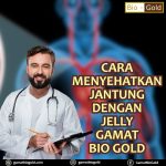 Cara Menyehatkan Jantung Dengan Jelly Gamat Bio Gold
