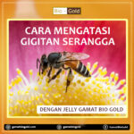 Cara Mengatasi Gigitan Serangga Dengan Jelly Gamat Bio Gold